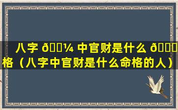 八字 🌼 中官财是什么 🍀 命格（八字中官财是什么命格的人）